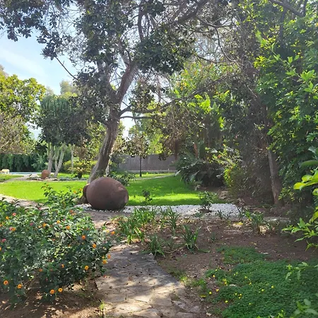 Sotomar מארבלה